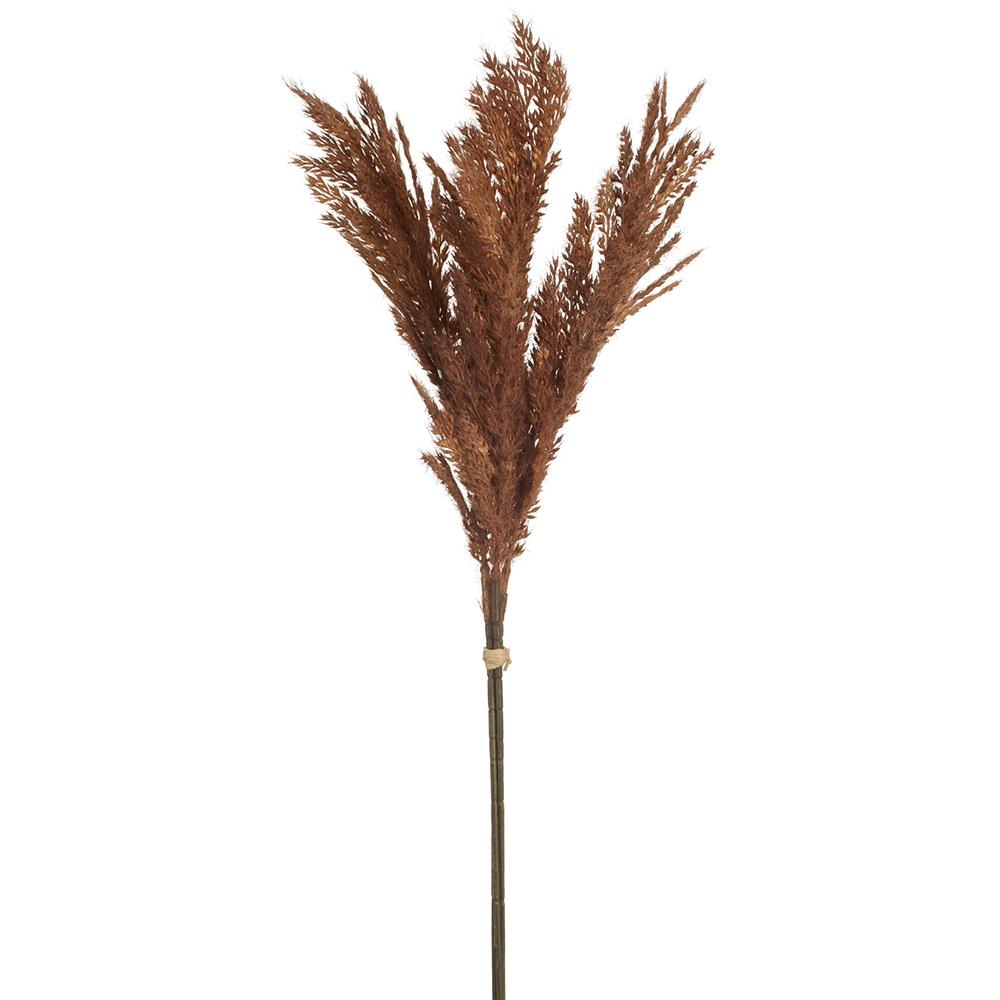 6-inch brown flocked pampas grass bundle with three stems tied together.