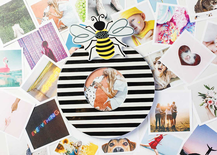 Happy Everything Mini Bee attachment on a black and white striped frame surrounded by photos.