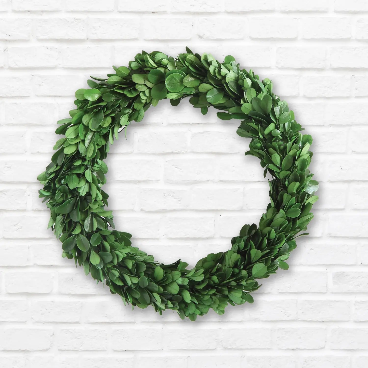 Round preserved boxwood wreath with deep green foliage in a natural circular silhouette.