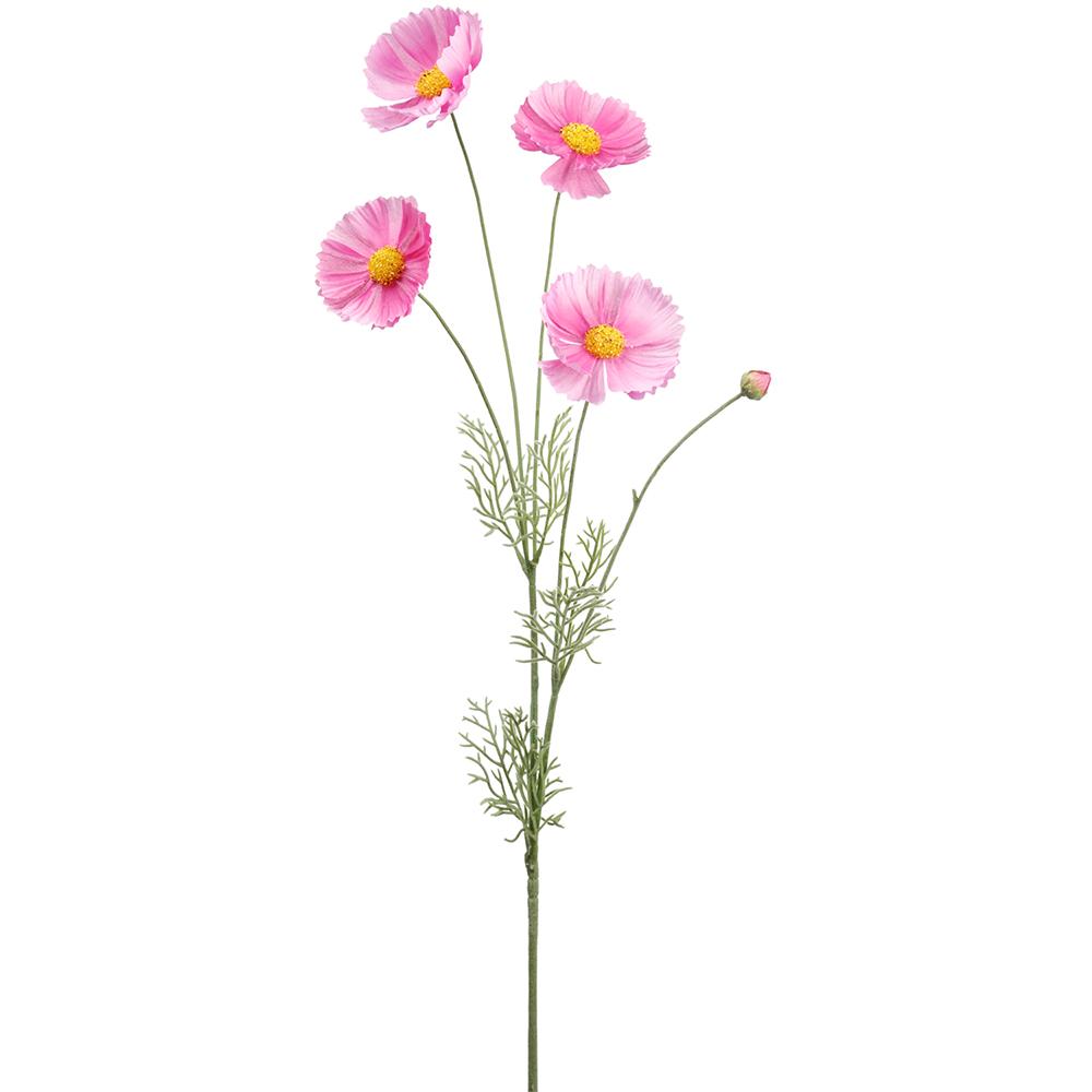 Fuchsia Cosmos spray with yellow centers and green foliage