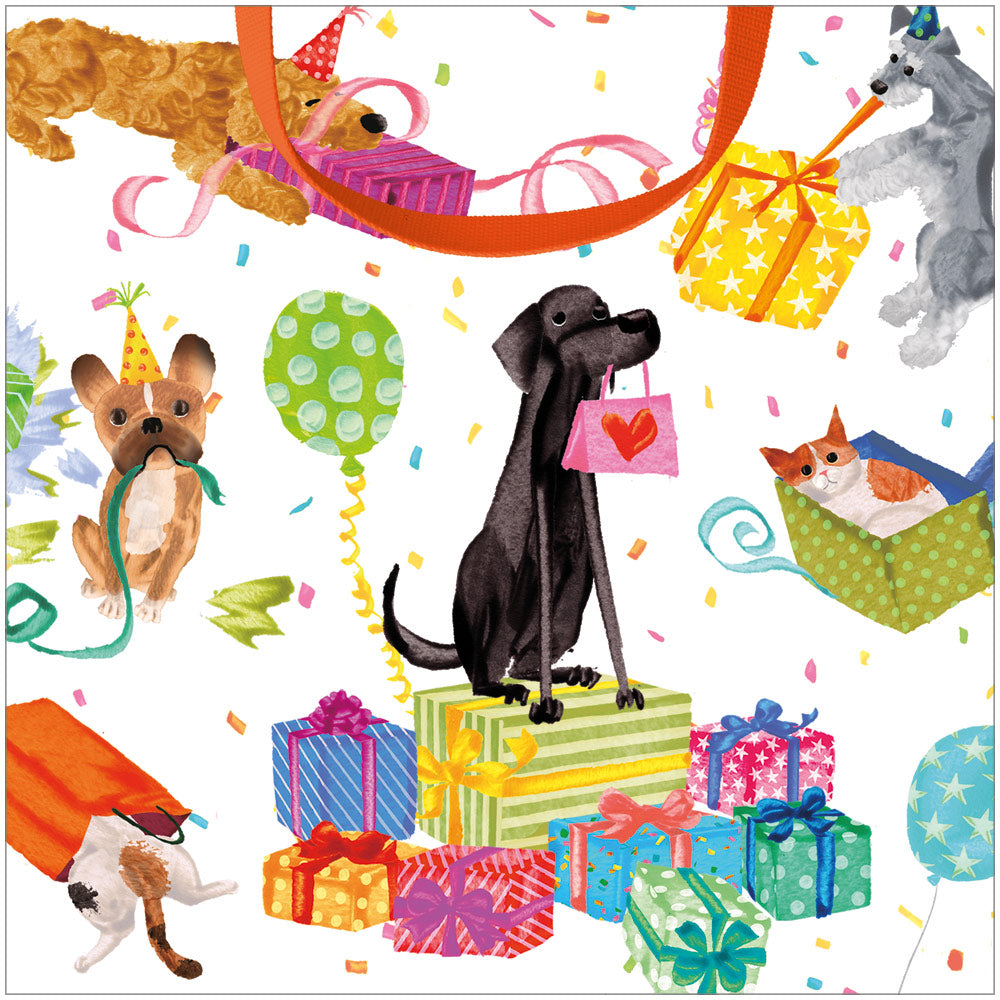 Small square gift bag with a strong handle featuring colorful birthday pet illustrations on durable paper.