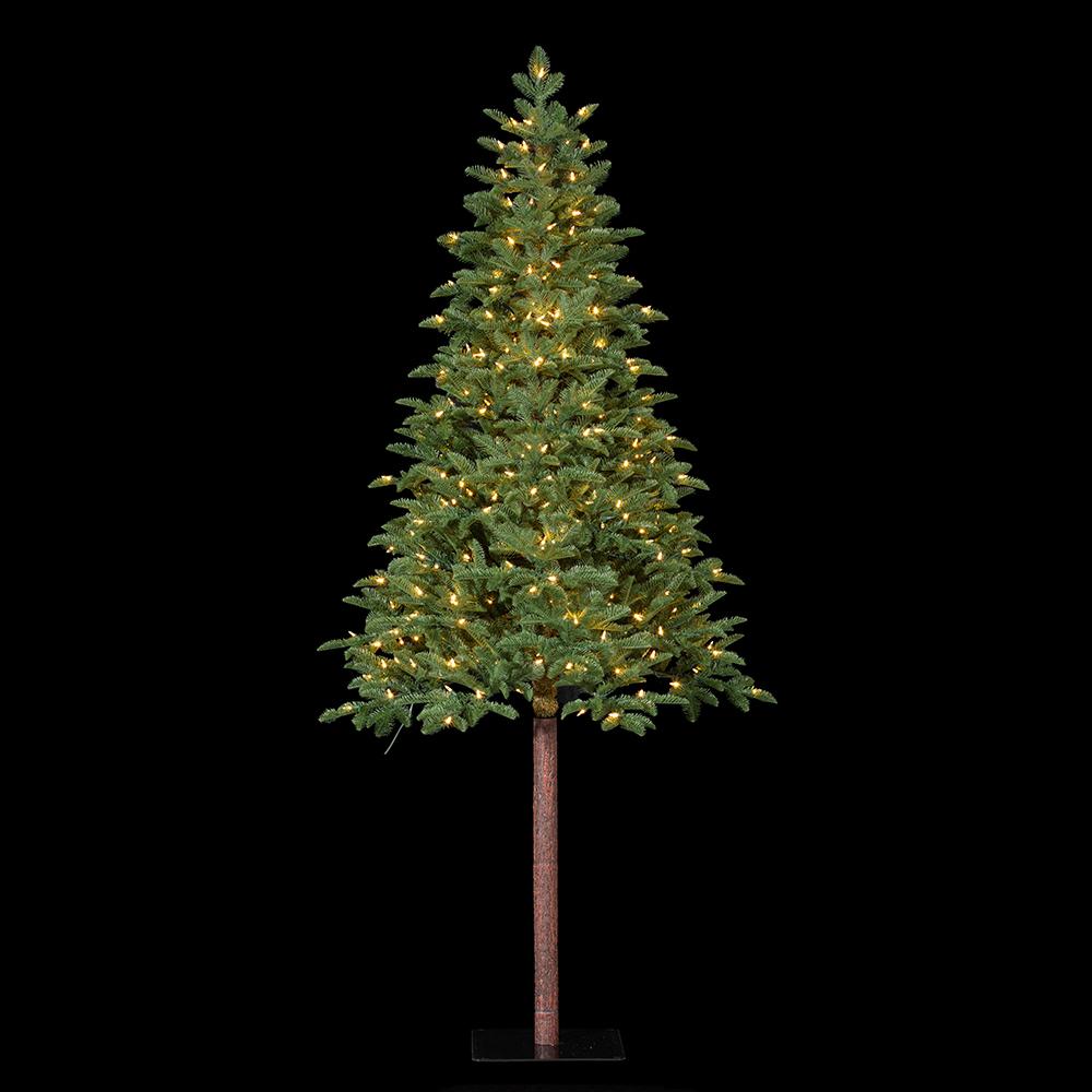 Pencil Pine Tree with 350 warm white LED lights on a tall brown trunk and black metal stand.