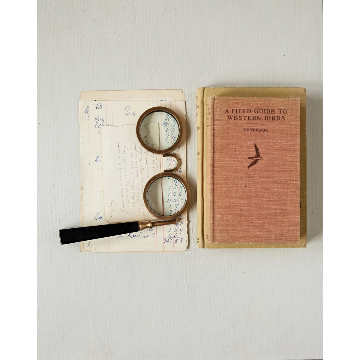 Vintage-style spectacle magnifying glass with two lenses and a black handle on old papers and books.