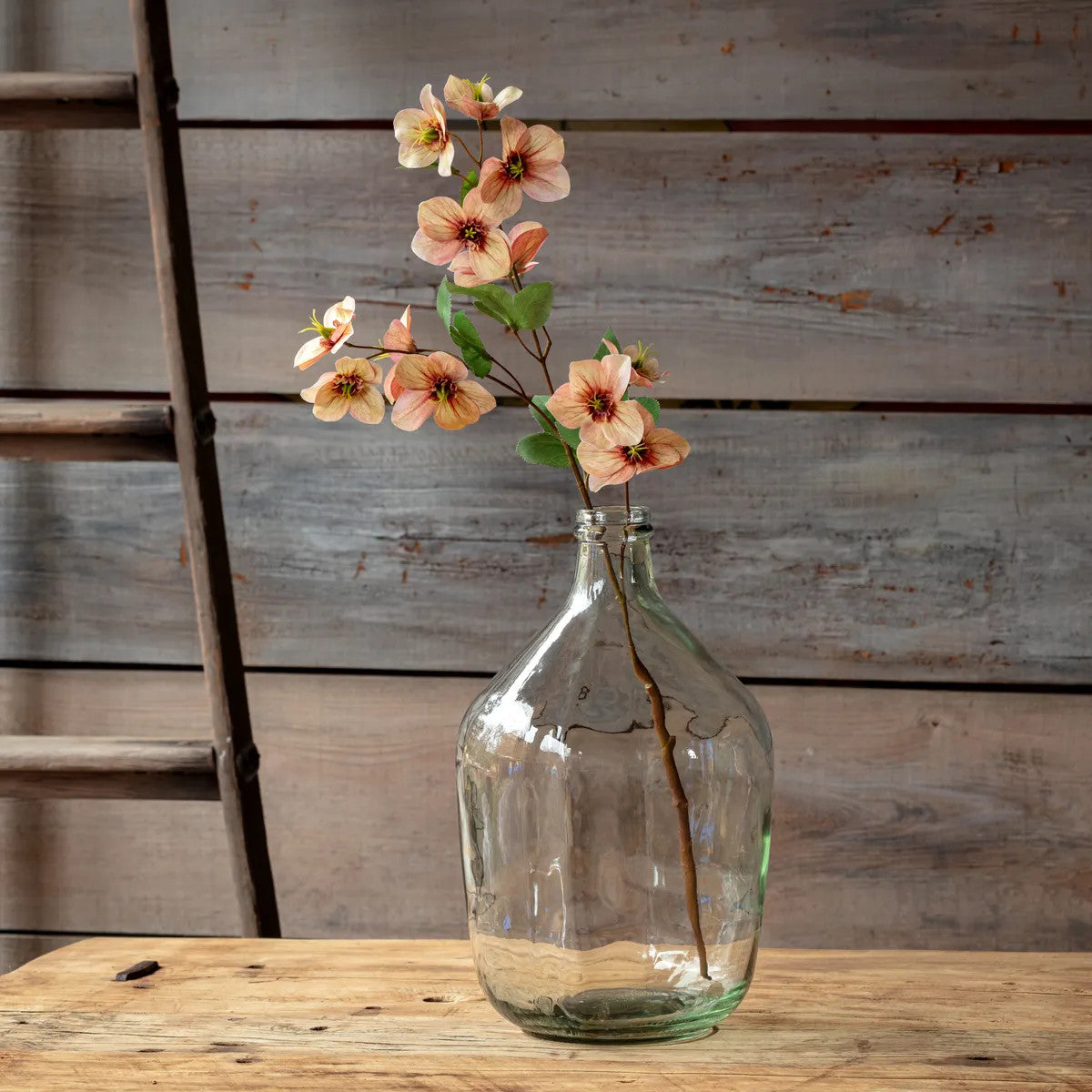 Hellebore Coral ceramic vase with a coral-colored glaze and cylindrical silhouette.