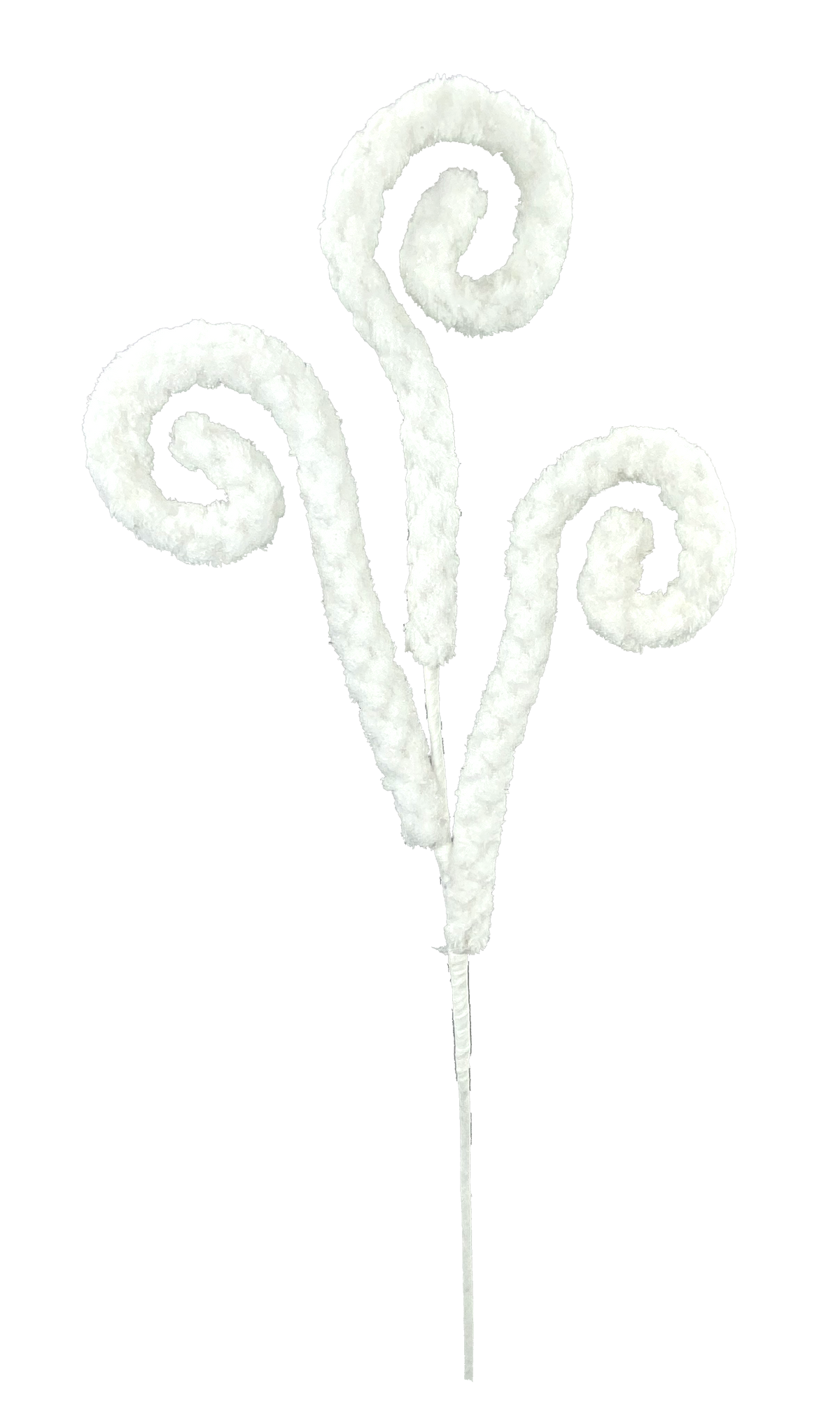 White 28-inch spiral curly spray with three fuzzy, coiled branches on a single stem.