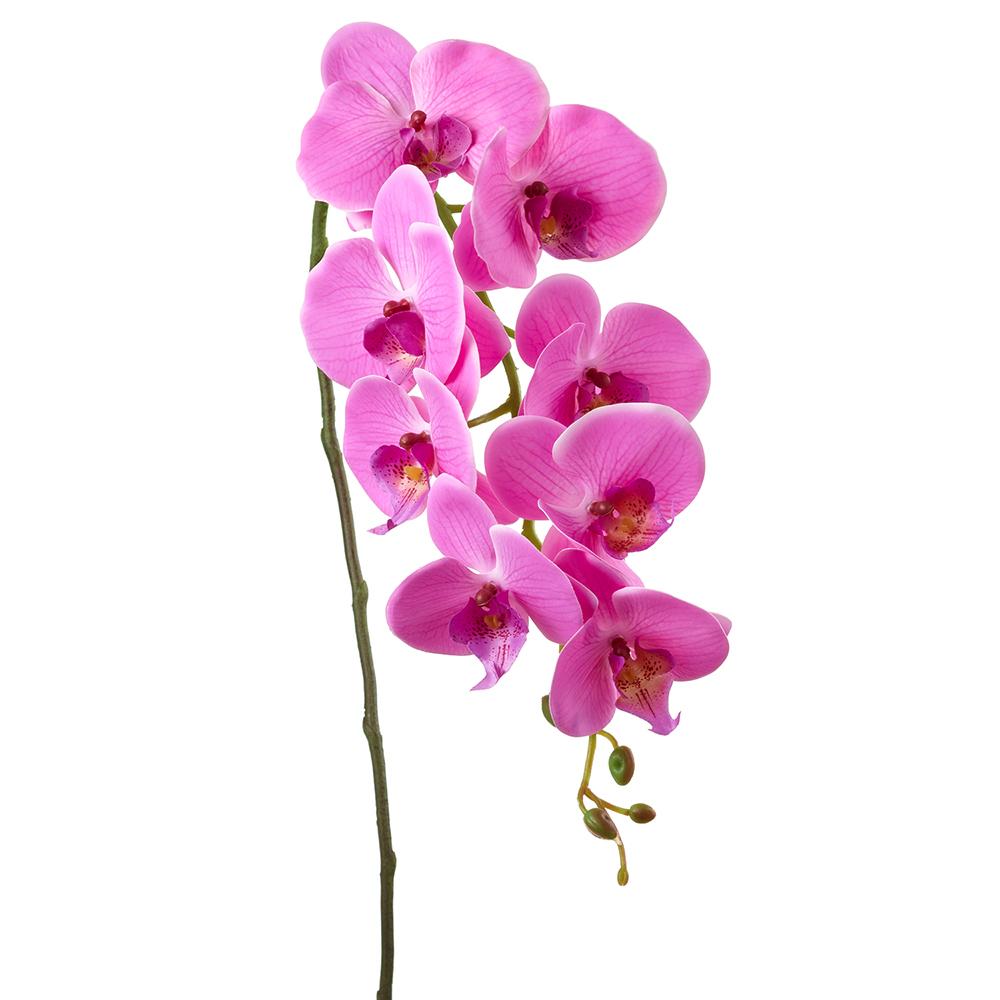 33-inch artificial Phalaenopsis orchid spray with white blooms on green stems in a wire frame.