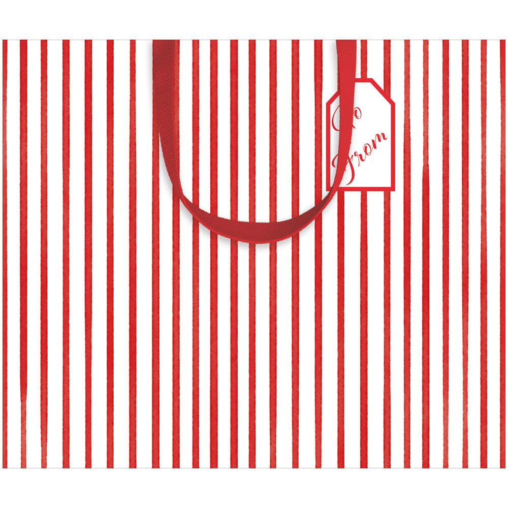 Large horizontal gift bag with cheerful colorful prints on durable paper featuring strong handles.