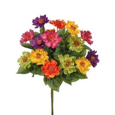 A mixed zinnia bush with colorful blooms in a container measuring approximately two inches deep by three inches wide.