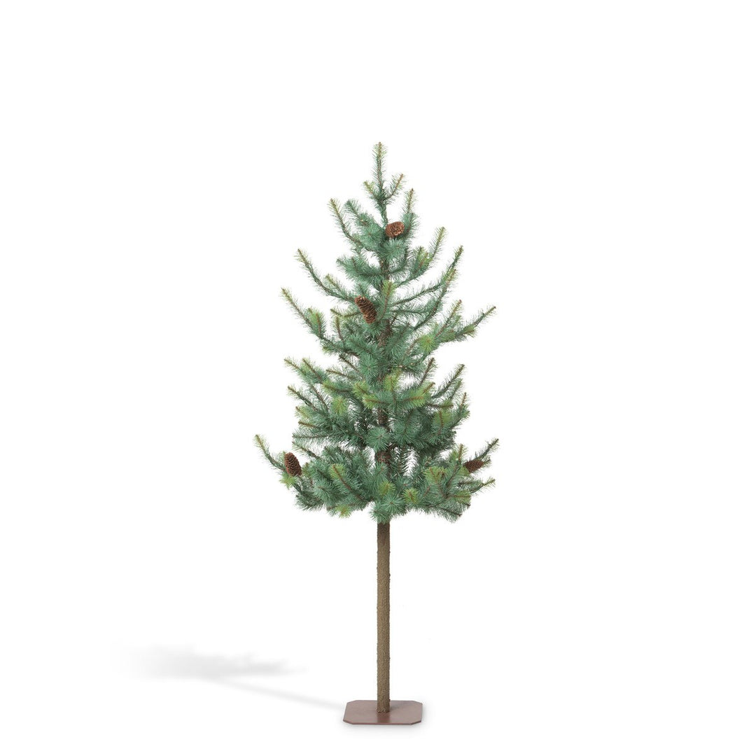Blue Spruce Alpine Tree