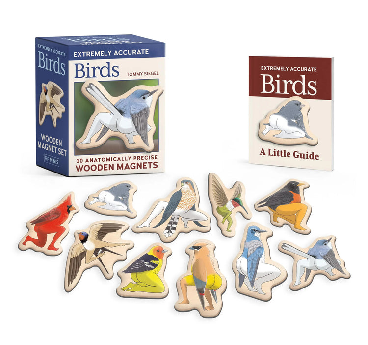 Extremely Accurate Birds Wooden Magnet Set featuring 10 bird magnets with human-like legs and butts.