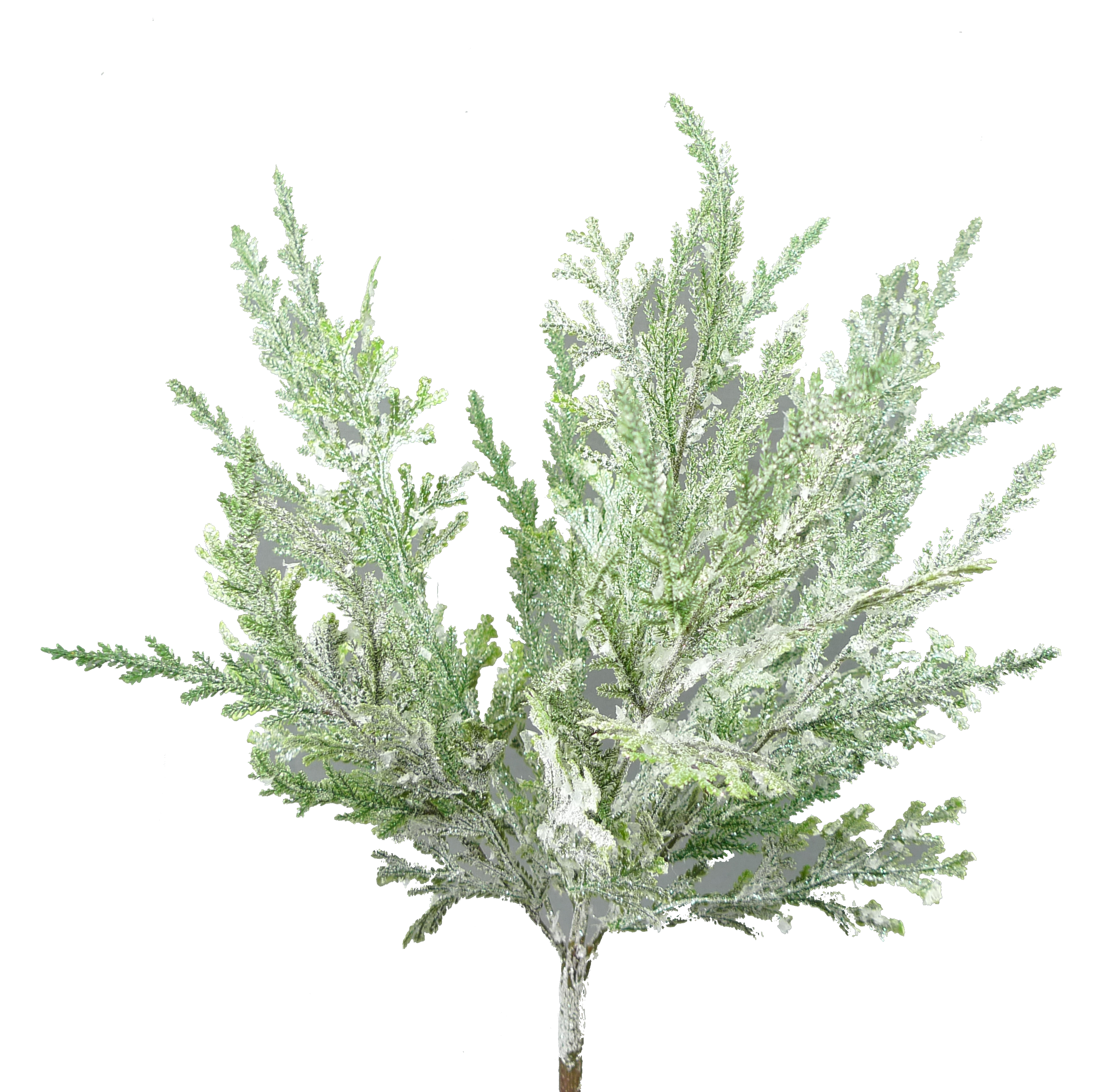 Glitter pine bush with frosted green needles and a brown stem, 20 inches long.