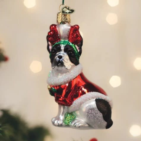 Holiday French Bulldog ornament in red with white accents standing on a gold base.