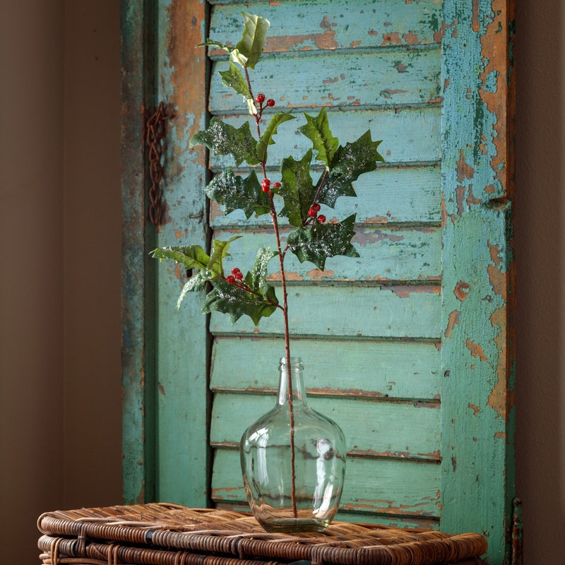 Frosted Vintage Holly Stem with red berries in a glass vase against a rustic teal shutter.