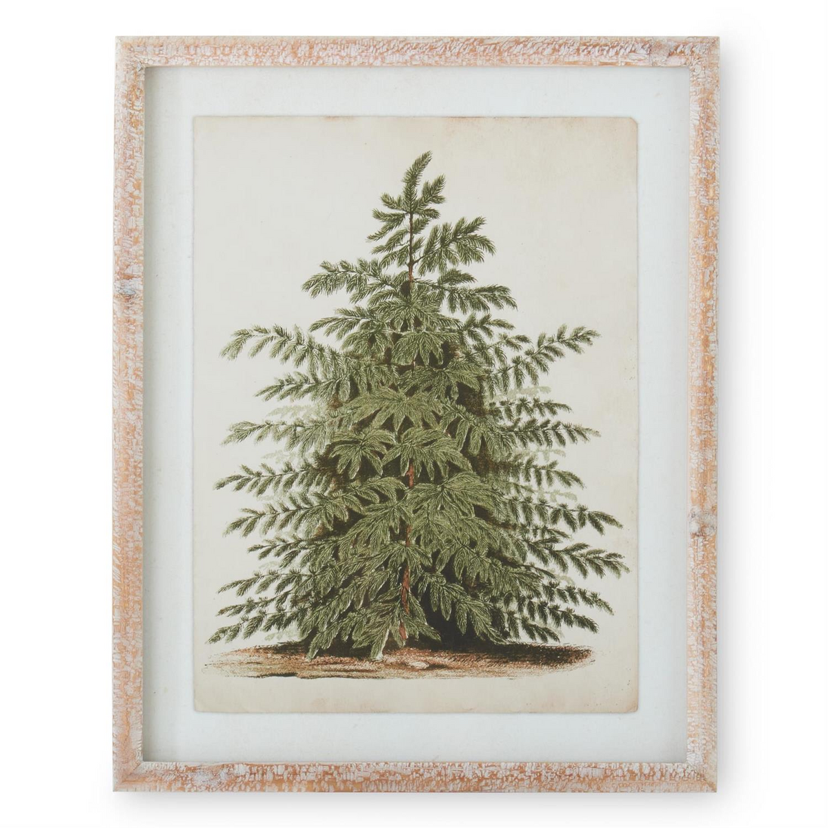 Vintage-style pine tree botanical print in a natural carved wood frame with a white mat.
