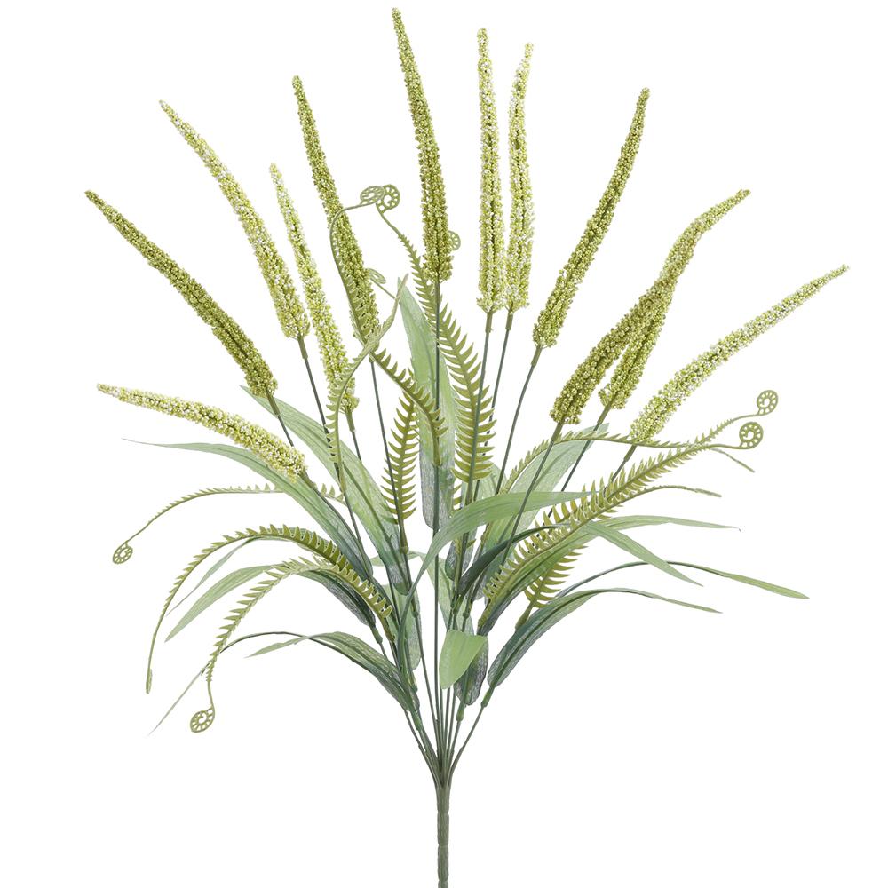Foxtail bush with green two-tone foliage in a rectangular plastic container.