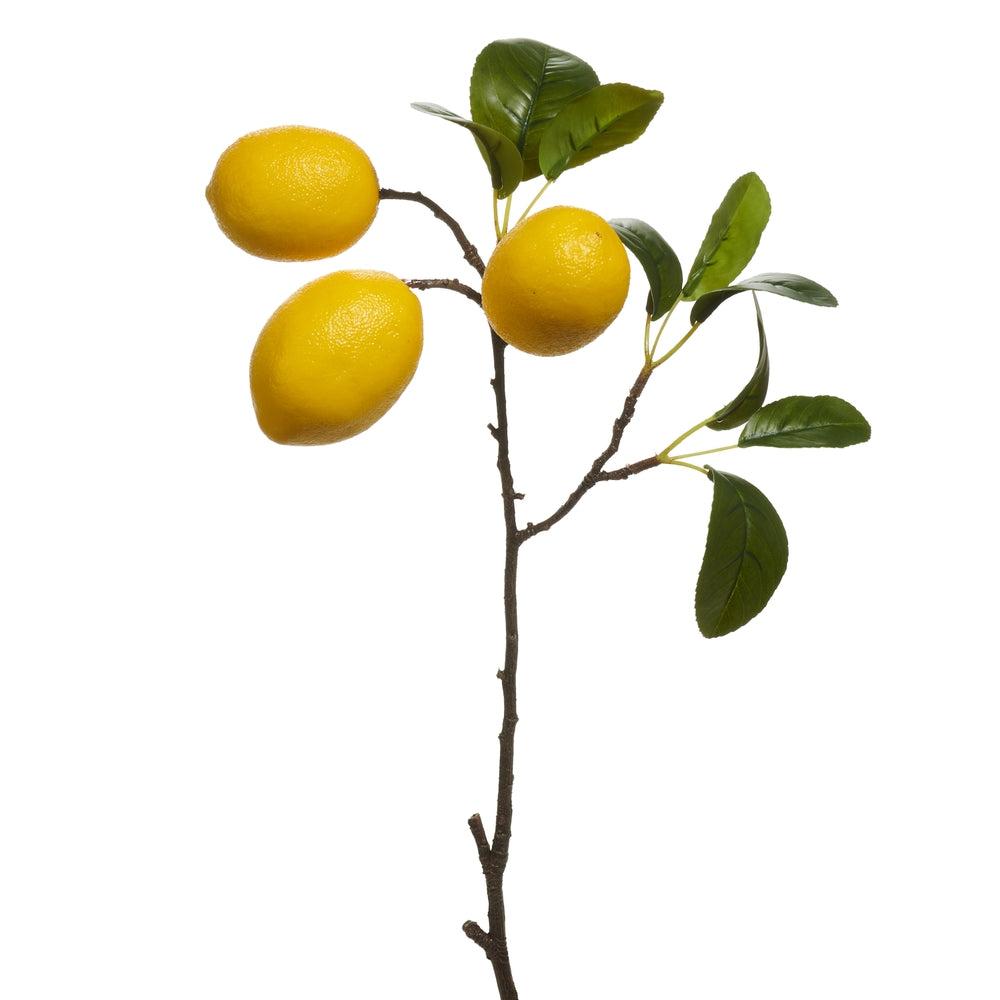 Plastic lemon-shaped spray bottle with a 20-inch length.