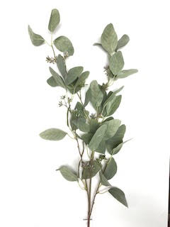 EUCALYPTUS SEEDED SPRAY 45"