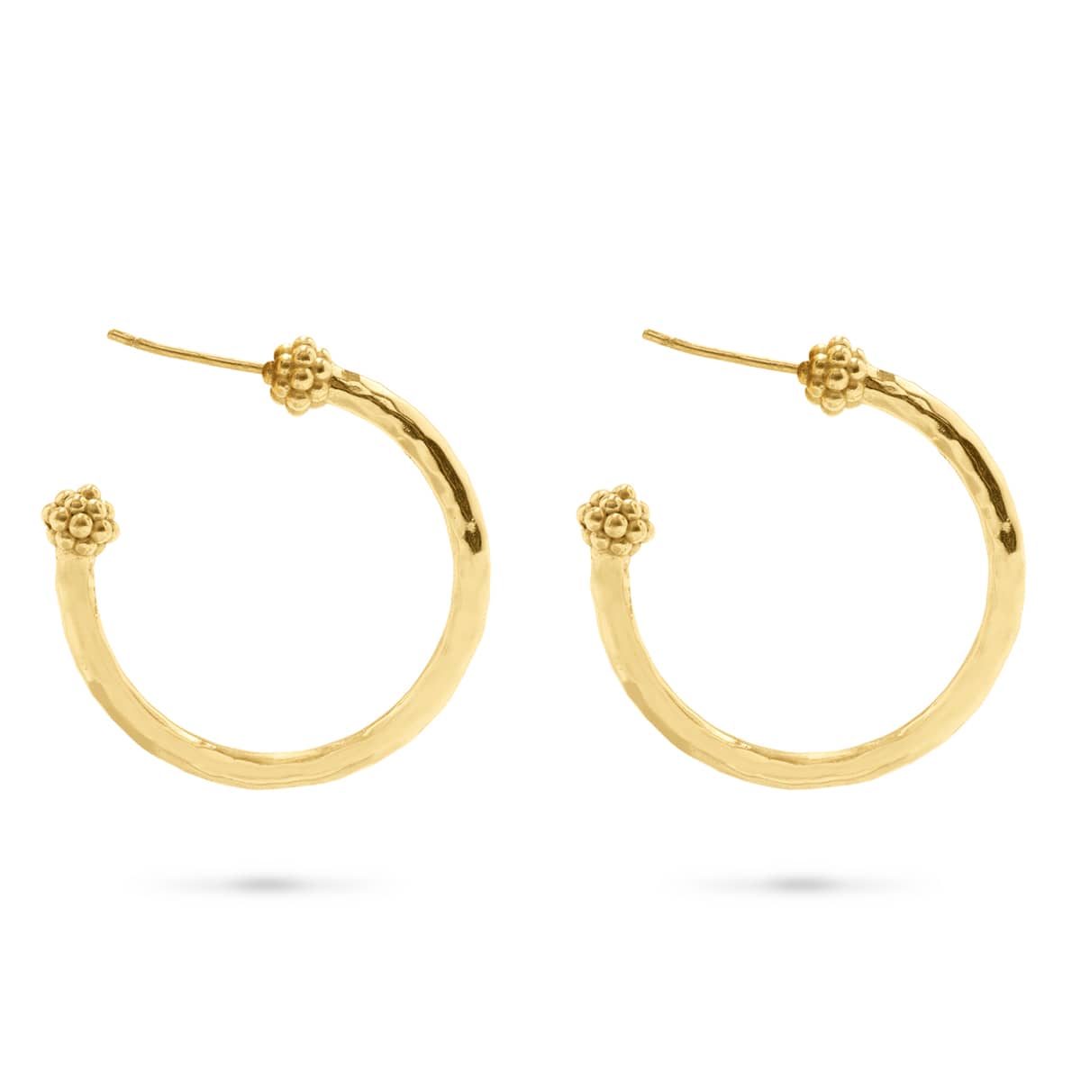 Gold-plated brass medium hoop earrings featuring a berry slice pendant with natural artisan imperfections.