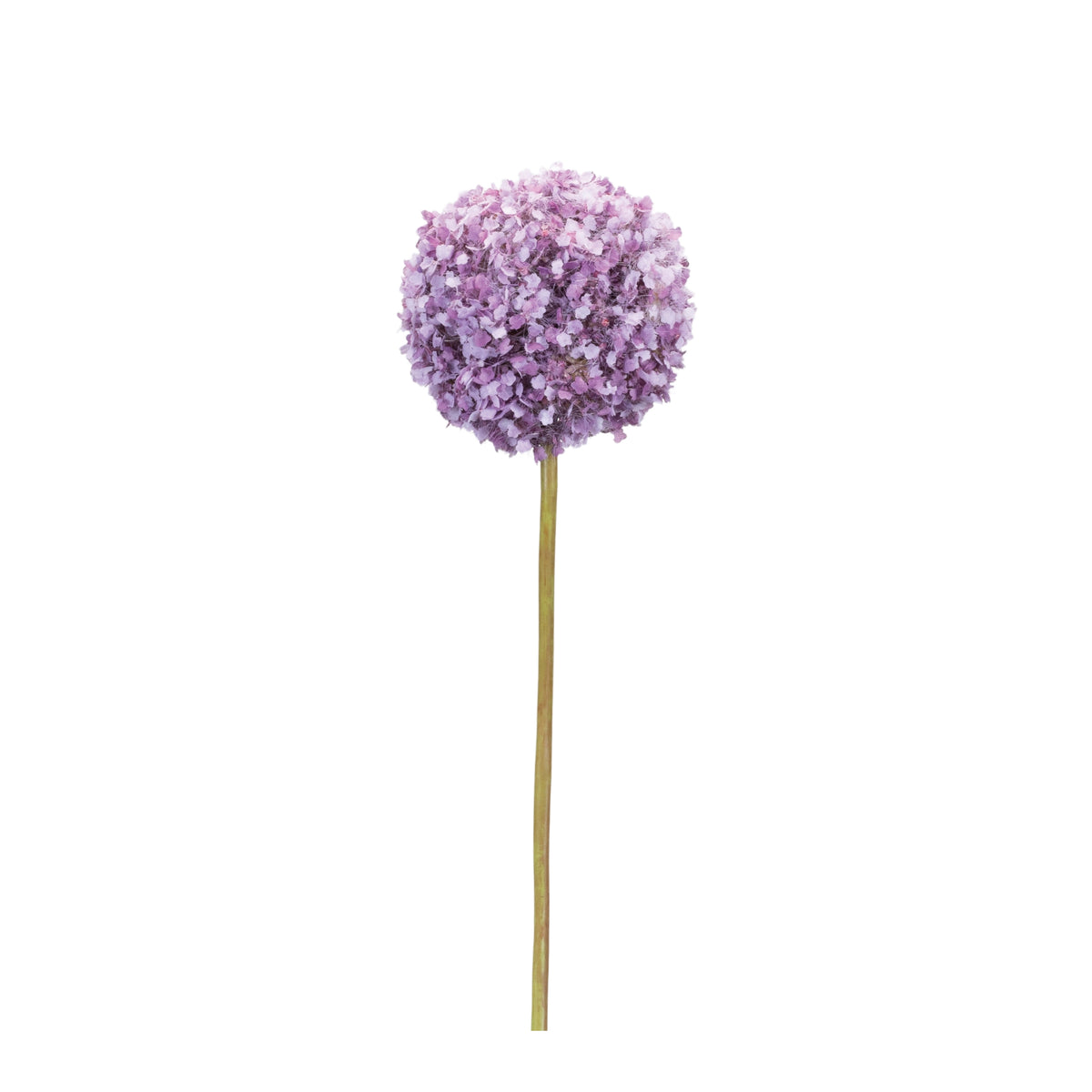Plastic allium flower stem decoration in white with a rounded bulbous silhouette
