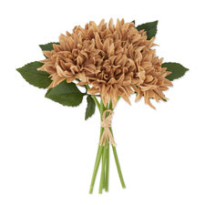 12-inch tan real touch dahlia bundle with six stems tied with a twine bow.