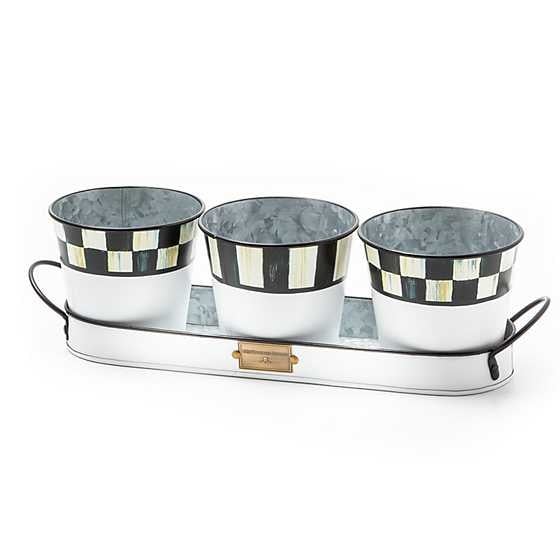 Galvanized metal herb pot set with tray