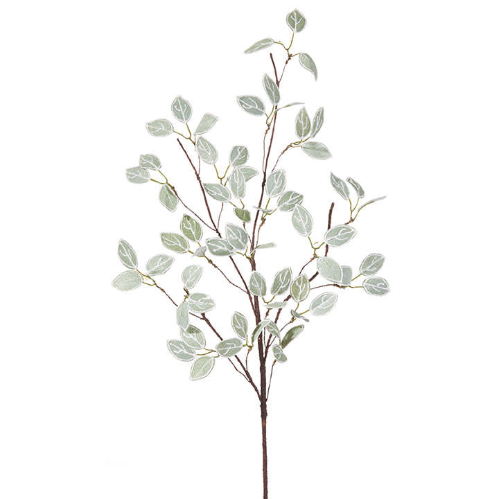 A 34-inch artificial laurel leaf spray with frosted green leaves on thin brown stems.