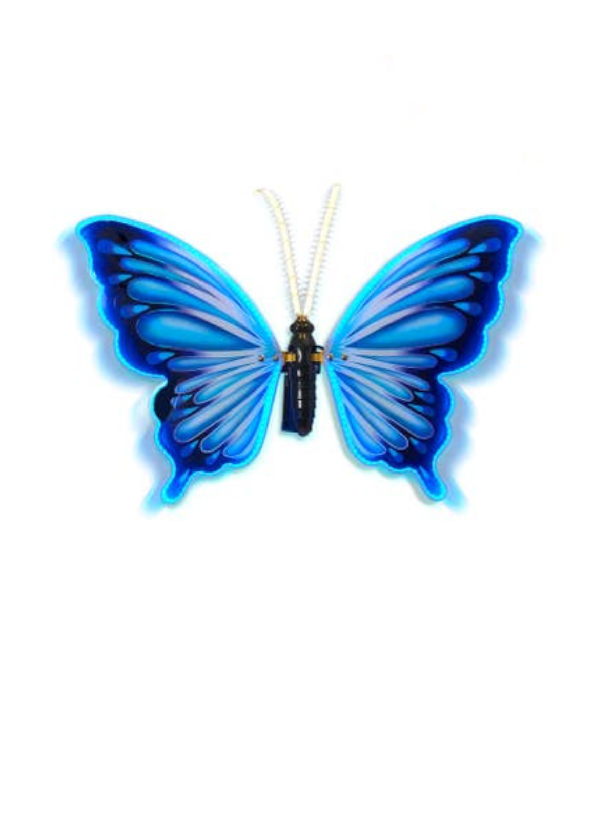 24-inch electric lighted and animated blue butterfly wall mount with glowing wings and antennae.