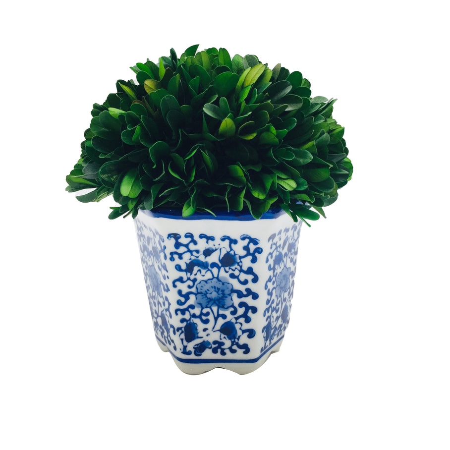 Hexagon blue ceramic pot holding a preserved boxwood ball topiary with white accents.