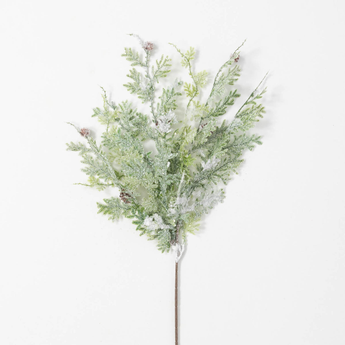 Frosted green fern pinecone spray with white snow-like accents on a brown stem.