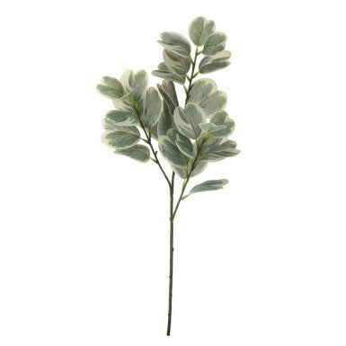 Artificial Euonymus spray with green foliage in a naturalistic arrangement.