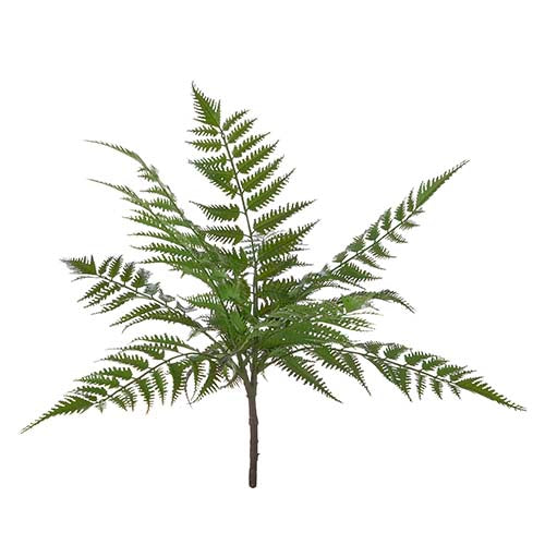 Foam fern bush decoration measuring 18 inches in length with a natural green color.