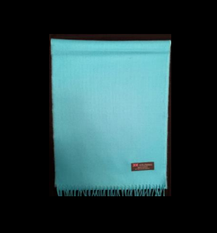 Light blue cashmere scarf with fringe detail.