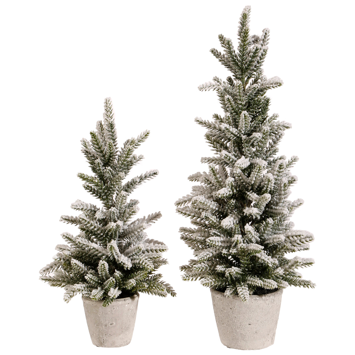 Snowy pine tree in a pot with white foliage accents