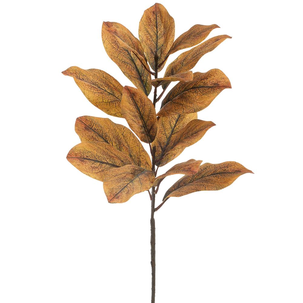 36-inch magnolia leaf spray with textured tan and brown leaves on a single brown stem.