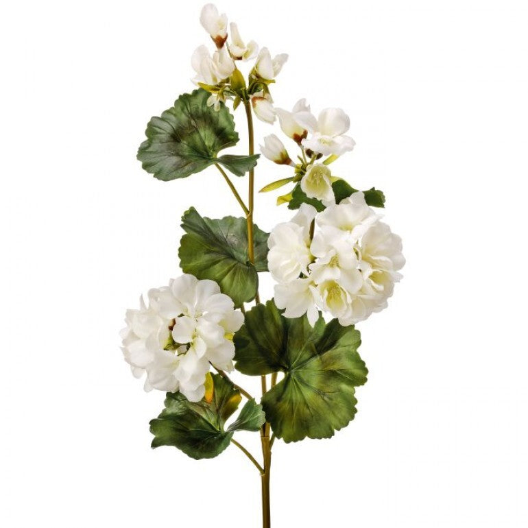 Just Cut geranium spray with green foliage arranged in a clear water-filled vase.