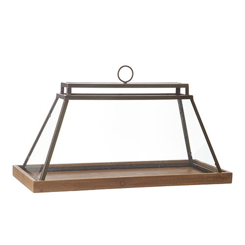Rectangular glass terrarium with a black iron frame and a wooden base, featuring a top handle.