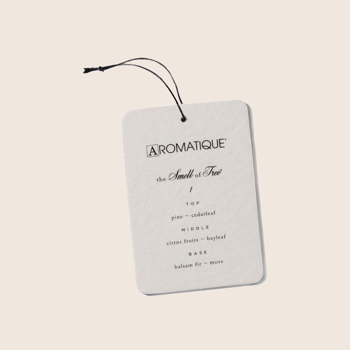 The Smell of Tree aroma card featuring pine, cedarleaf, fir balsam, bayleaf, clove, and moss scents.
