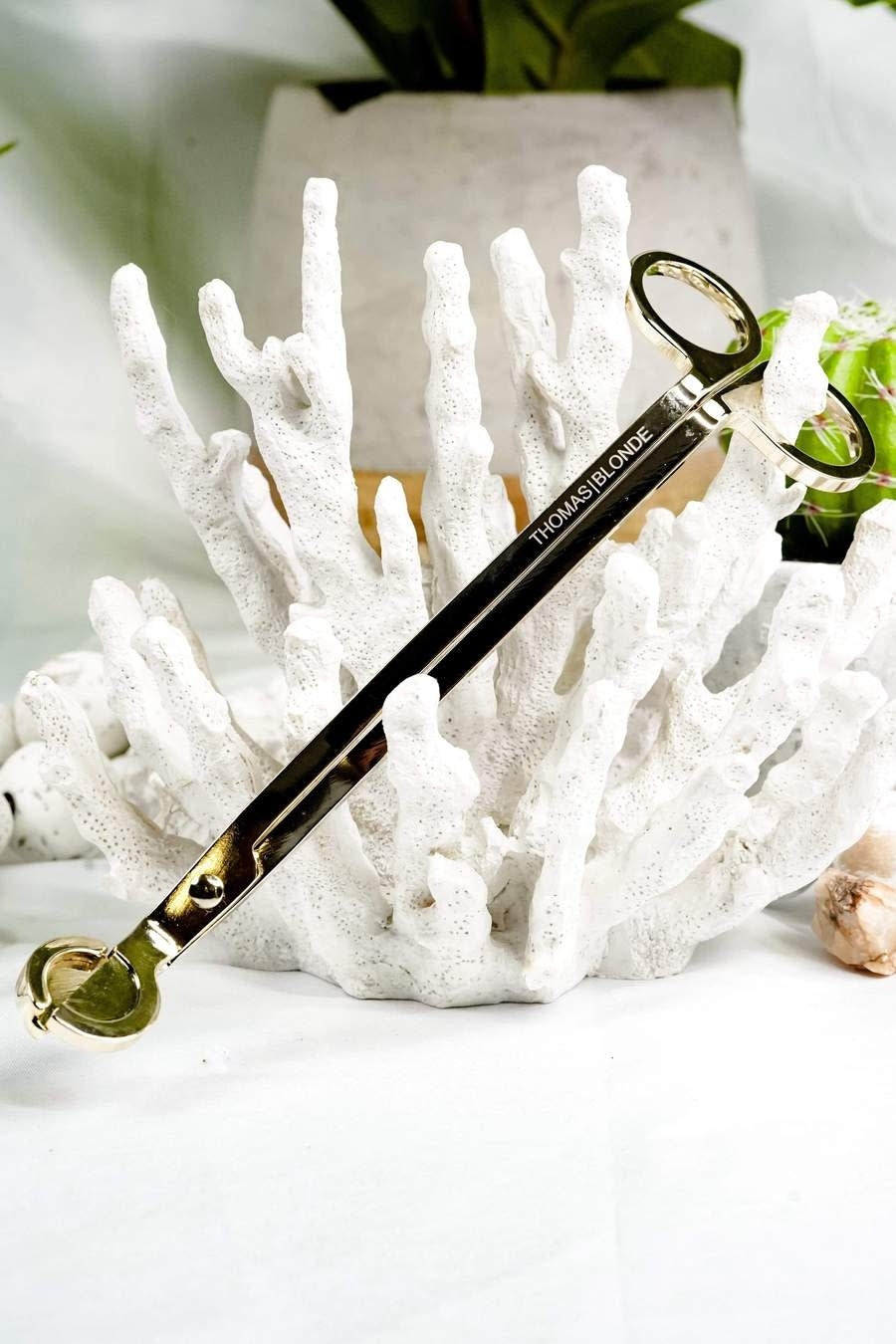Gold steel wick trimmer with debris tray