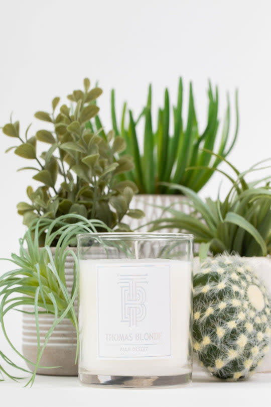 Thomas Blonde Palm Desert candle in a clear glass jar with white soy wax.