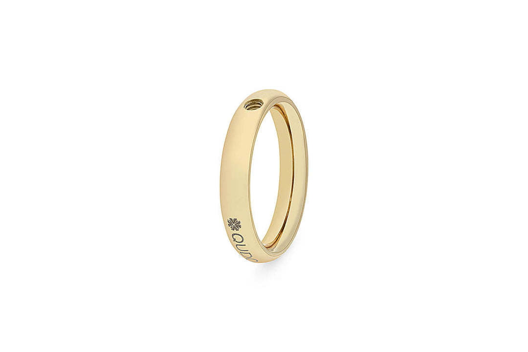 Interchangeable Basic Ring Small