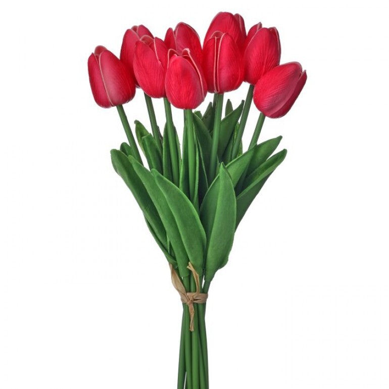Bundle of three white Eva Dutch tulips in a clear vase
