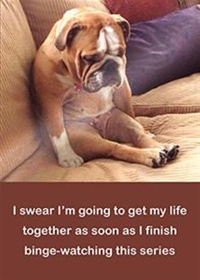 Funny card with a bulldog on a couch and text: "I swear I'm going to get my life together as soon as I finish binge-watching this series."