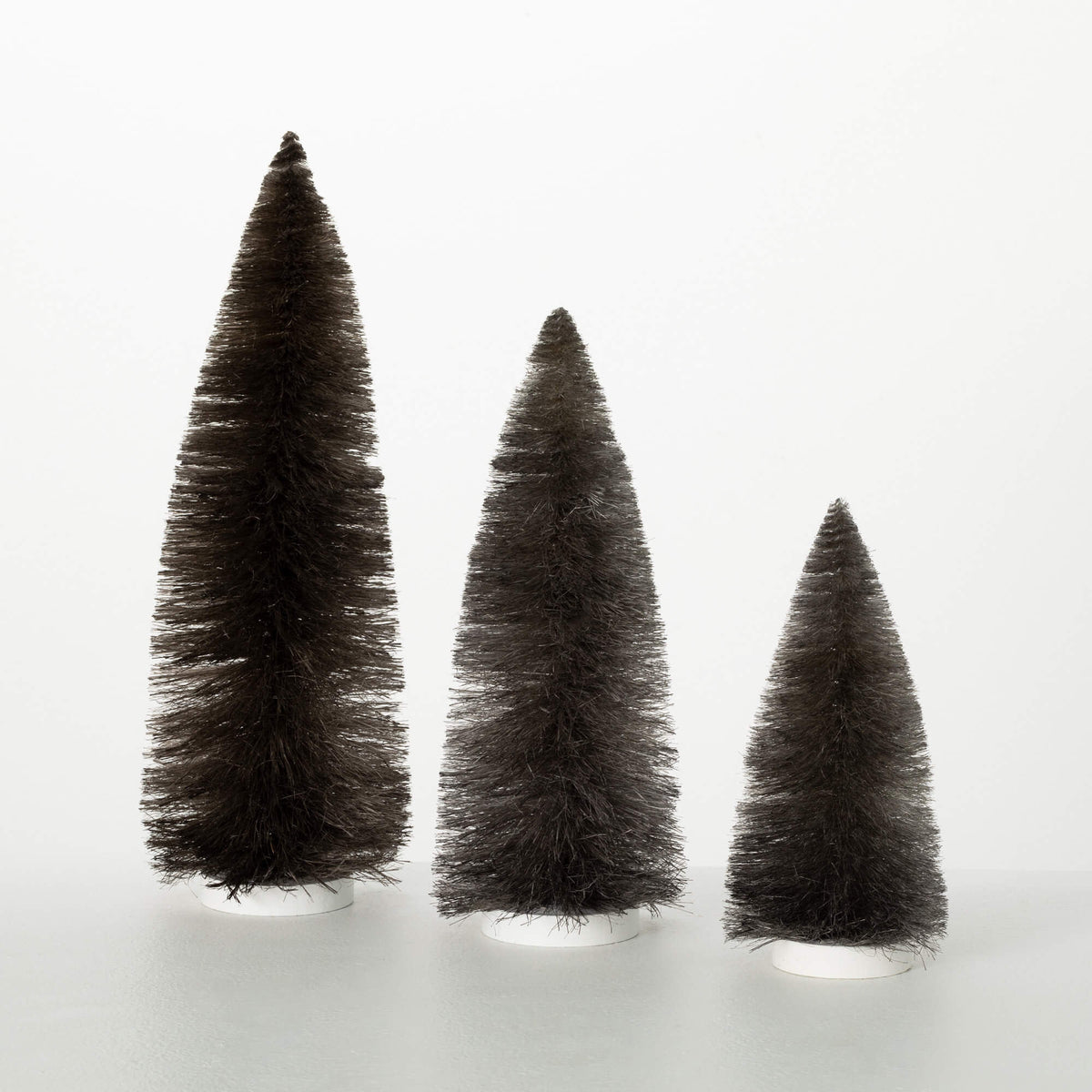 Modern bottlebrush tree with neutral green foliage in a natural wood stand.