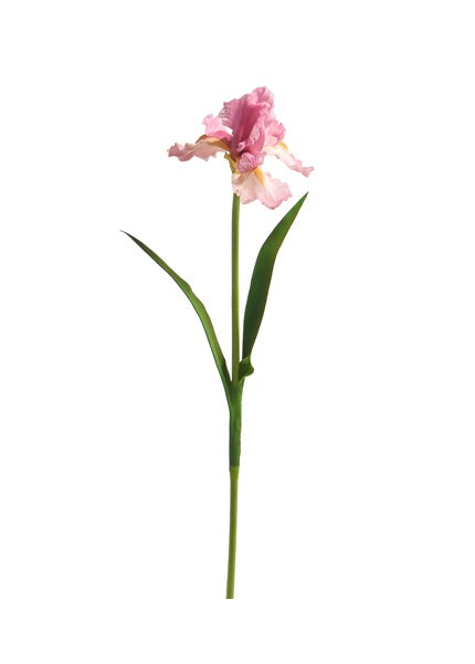 A 30.5-inch artificial pink iris stem with realistic foam and polyester petals and green leaves.