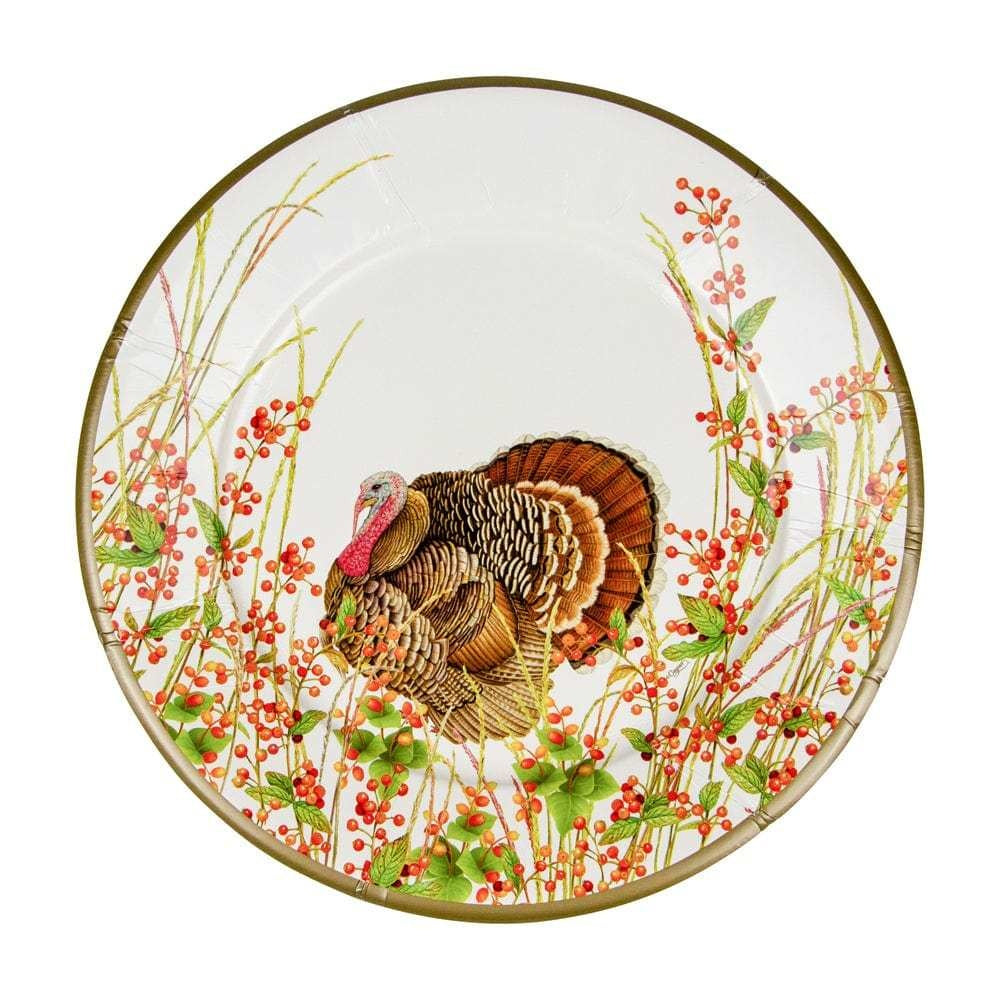 Turkey And Berries Dinner Plates