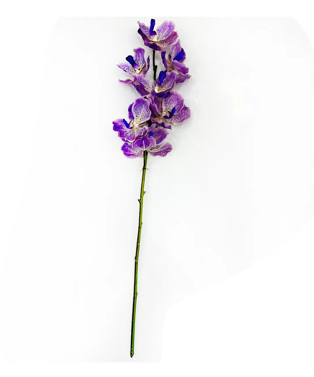 Vanda orchid in a clear glass vase with water visible.