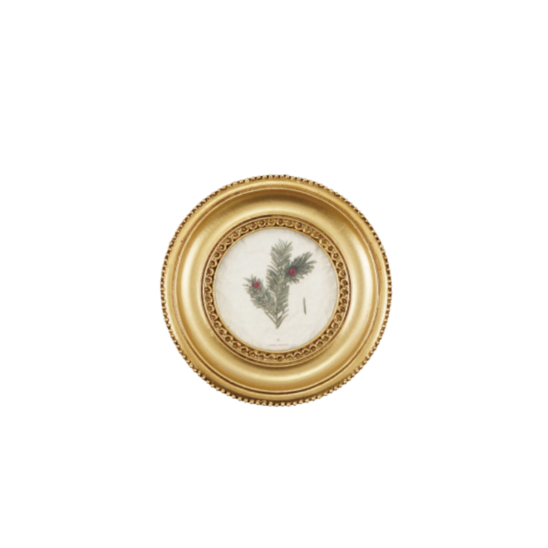 Round gold-finished resin frame with a vintage botanical print of a pine branch and red berries.