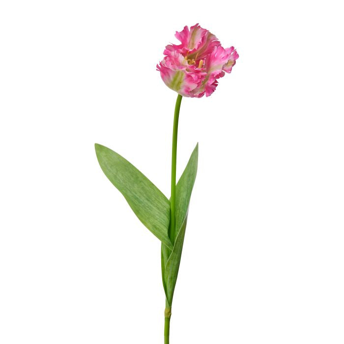 Soft Touch Parrot Tulip vase in green with parrot pattern