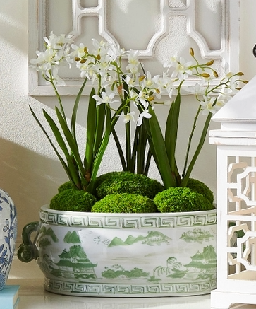 A cluster of green moss balls arranged in a decorative ceramic planter with white orchids.