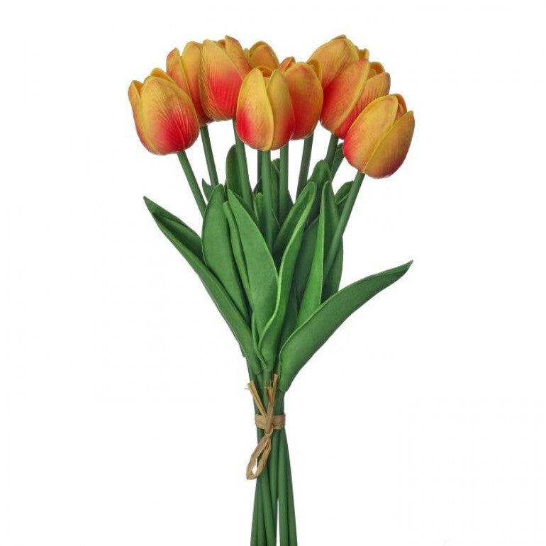 Bundle of three white Eva Dutch tulips in a vase